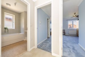 Photo 11- click for photo gallery